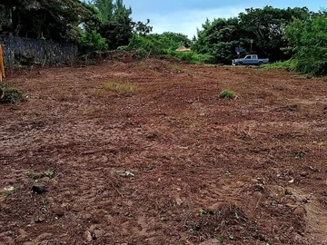 Terrain