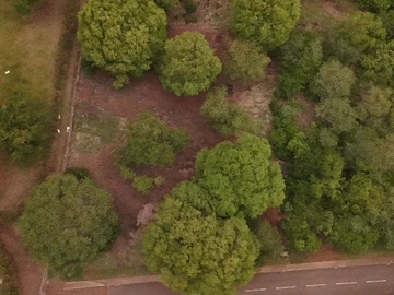 Terrain