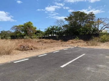 Terrain