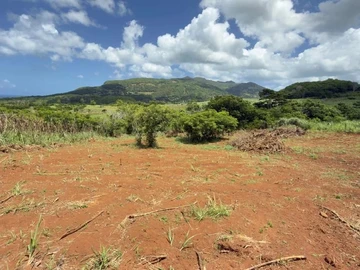 Terrain