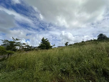 Terrain