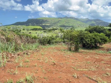 Terrain