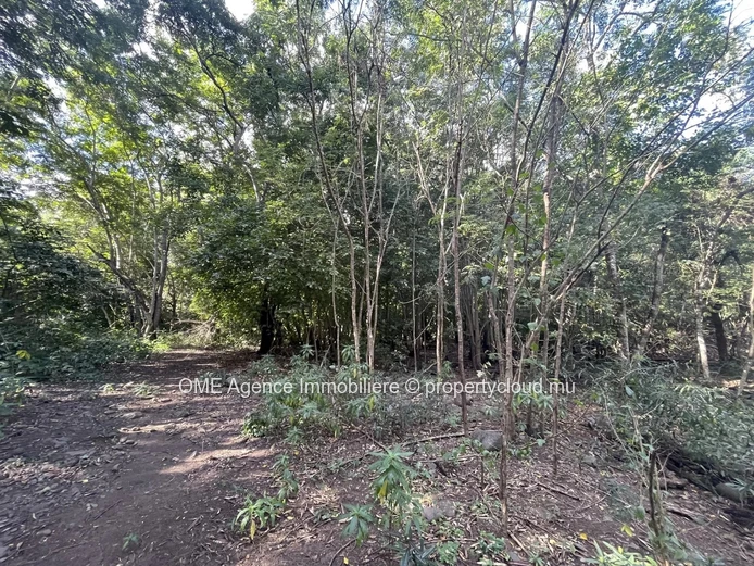TAMARIN - Grand terrain plongeant sur la riviere