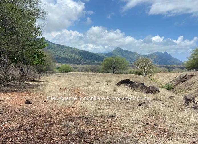 Terrain résidentiel – Domaine de Palmyre