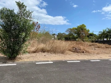 Terrain
