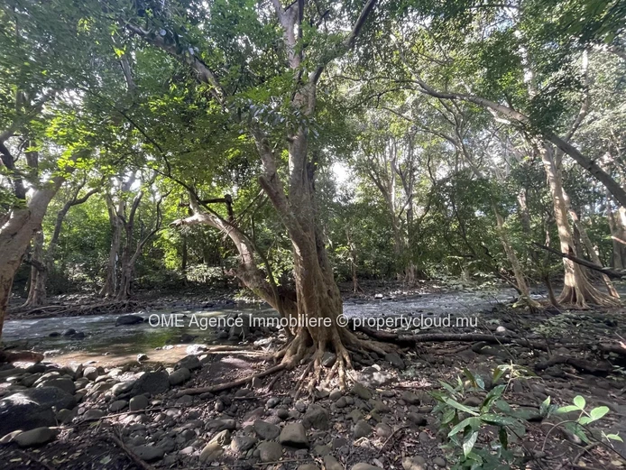 TAMARIN - Grand terrain plongeant sur la riviere