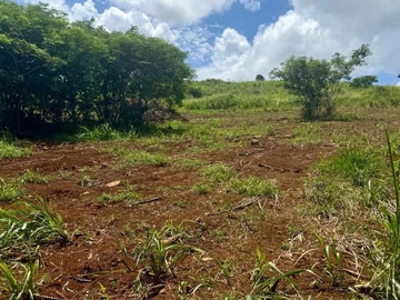 Terrain